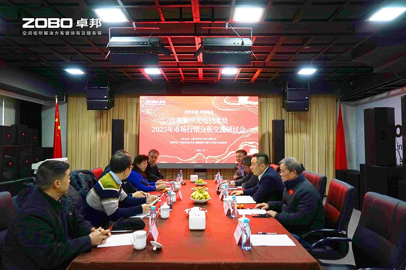 音视频声光电技术及2025年市场行情分析交流研讨会在ZOBO桃子视频APP圆满举办
