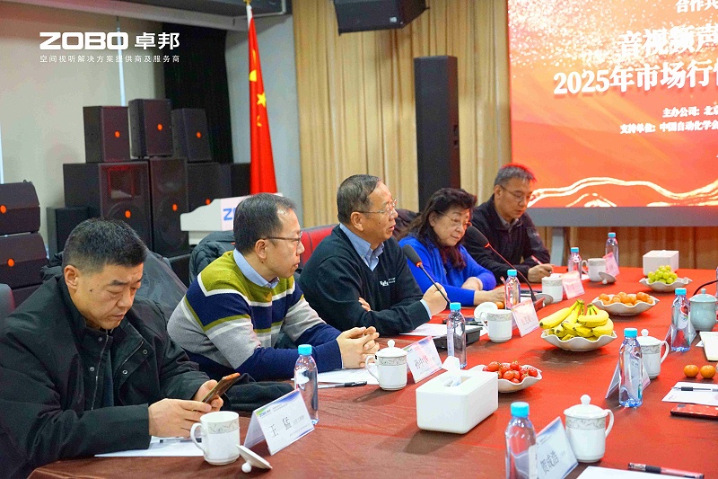音视频声光电技术及2025年市场行情分析交流研讨会在ZOBO桃子视频APP圆满举办3