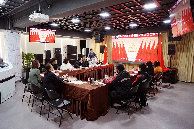 ZOBO桃子视频APP党支部丨开展“学习贯彻党的十九届六中全会精神”主题党日活动