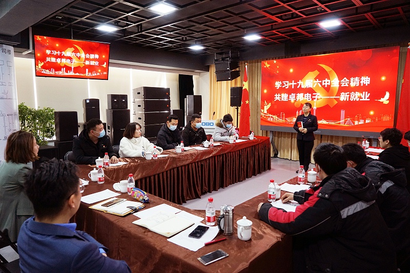 ZOBO桃子视频APP党支部丨开展“学习贯彻党的十九届六中全会精神”主题党日活动