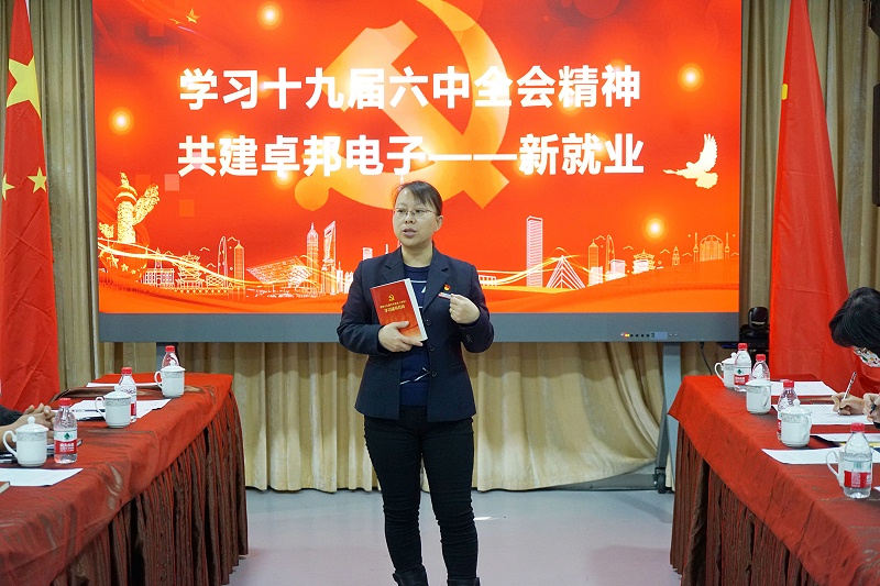 ZOBO桃子视频APP党支部丨开展“学习贯彻党的十九届六中全会精神”主题党日活动
