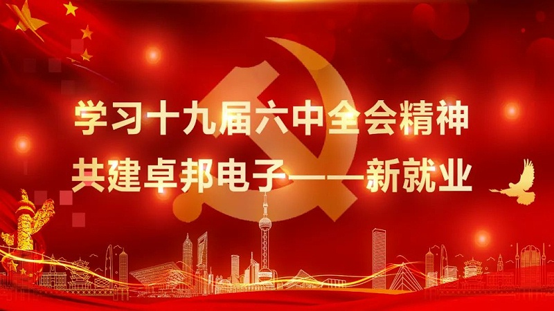 ZOBO桃子视频APP党支部丨开展“学习贯彻党的十九届六中全会精神”主题党日活动