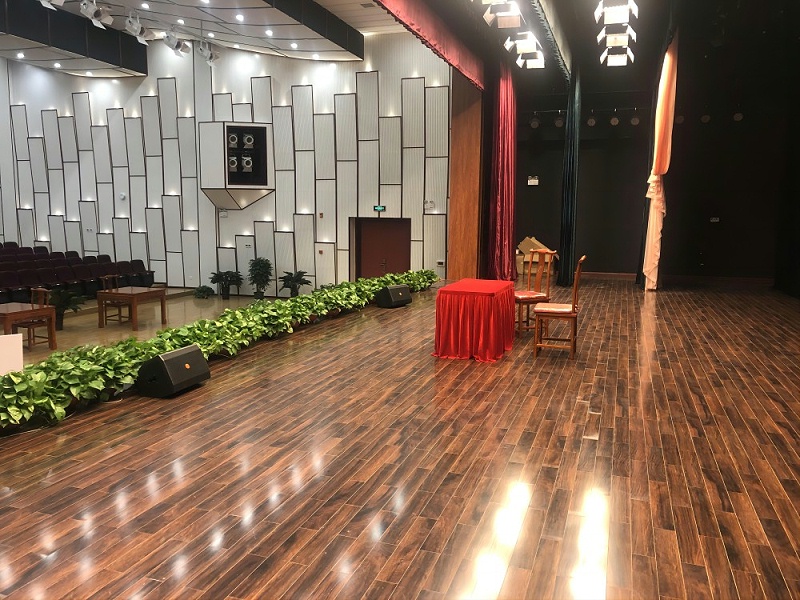 在使用舞台桃子视频污设备时常见的问题