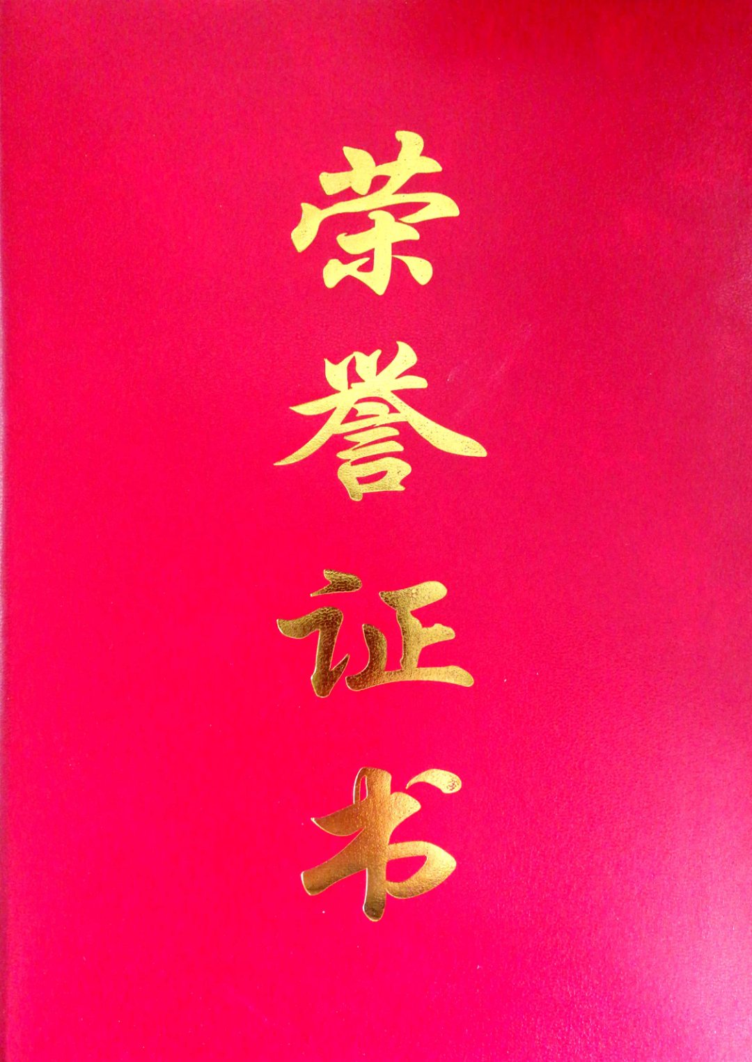ZOBO桃子视频APP董事长张新峰荣获2018年度“九三学社社员”