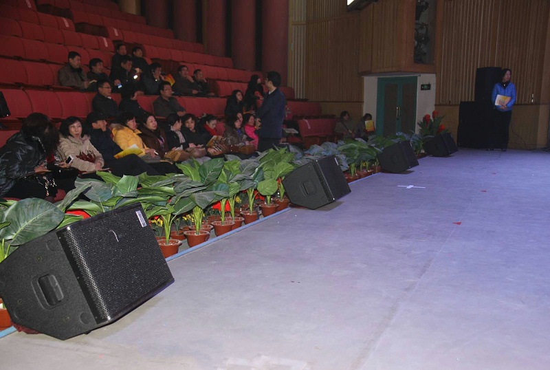 演出桃子视频污设备的安装技术要求有哪些