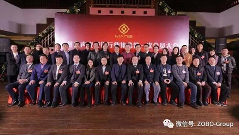 热烈庆祝ZOBO桃子视频APP董事长张新峰被选为北京声光视讯行业协会会长