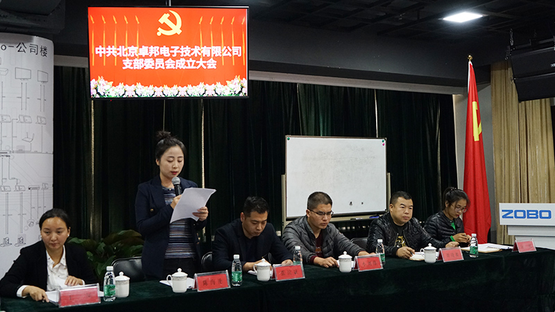 中共北京桃子视频APP电子技术有限公司支部委员会成立