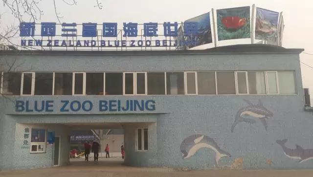 案例 ▎ZOBO桃子视频APP为富国海底世界打造音视频系统