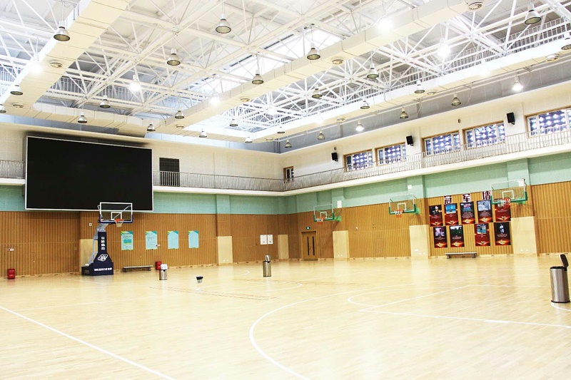 桃子视频污设备，家庭影院，阵列扬声器，功率放大器，扬声器，返听音箱，调音台